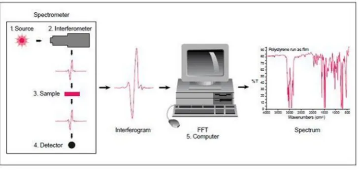 Gambar 2.6. Cara Kerja FTIR (Road, 2001)