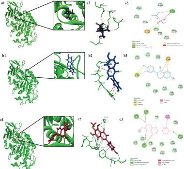 Figure 3. In silico molecular docking results of interactions between human pancreatic a-amylase protein with (a) betaine, (b) daidzein, and (c) hispidulin
