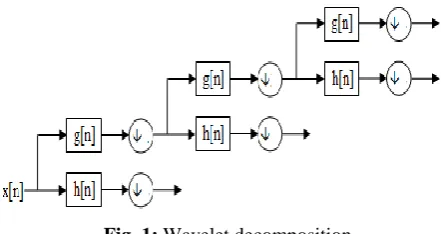 Fig. 1: Wavelet decomposition 