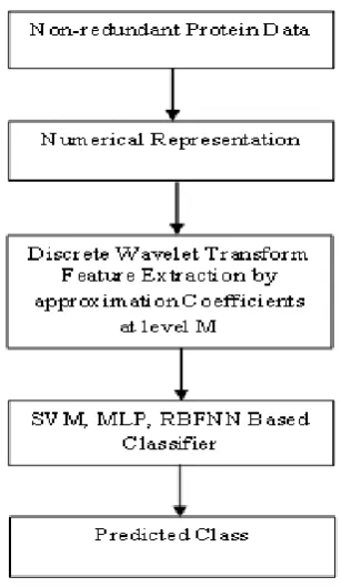 Fig.4: Flow graph of the proposed feature extraction based protein secondary structure prediction method 