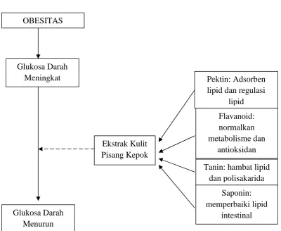 Gambar 9. Kerangka Konsep
