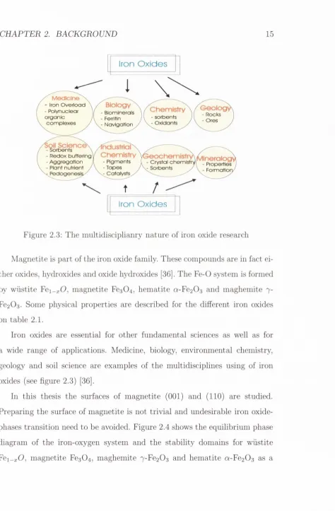 Figure 2.3; The m ultidisciplianry nature of iron oxide researcli