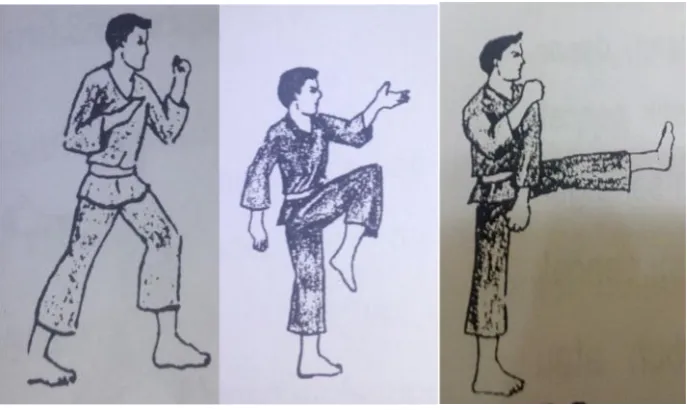 Gambar 1. Tendangan Lurus