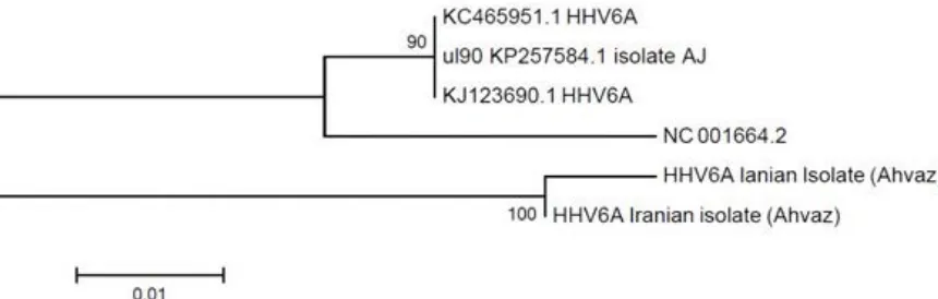Fig 4. A phylogenic tree constructed with Neighbor joining method and using the partial nucleotide sequences of UL 90 region HHV-6 B, Reference sequences were retrieved from GenBank with their accession numbers and origin indicated