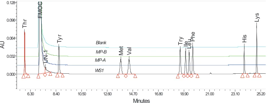 Figure 1. Overlay chromatogram of derivatized blanks and sample injection.