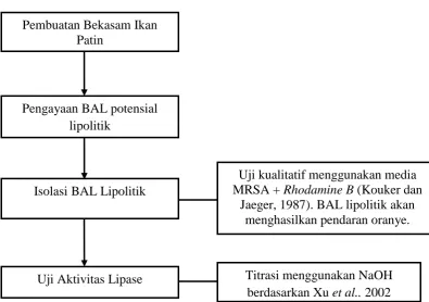 Gambar 9. Diagram Alir Penelitian 