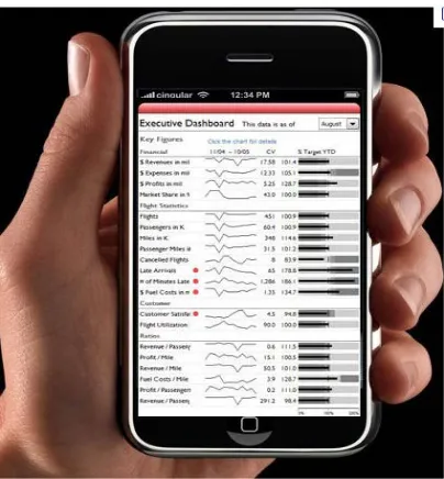Figure 5-2: : snapshot of a mobile application developed for executive dashboard using Sparkline 