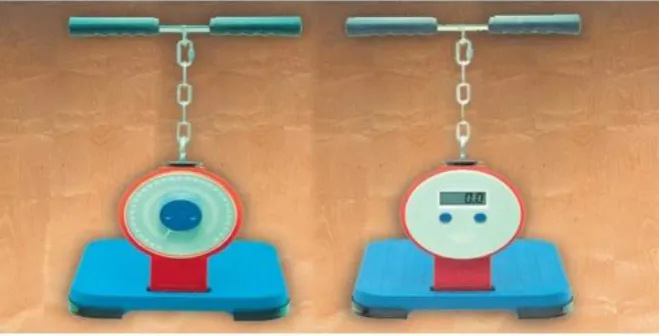 Gambar 9. Leg Dynamometer 