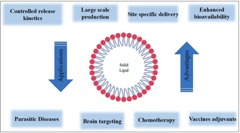 Figure 1. Structure of SLNs.