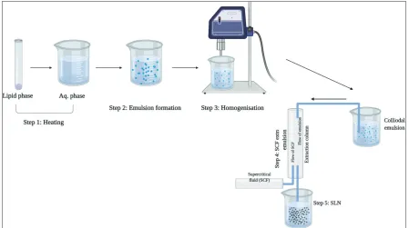 Figure 7. Supercritical fluid technique.