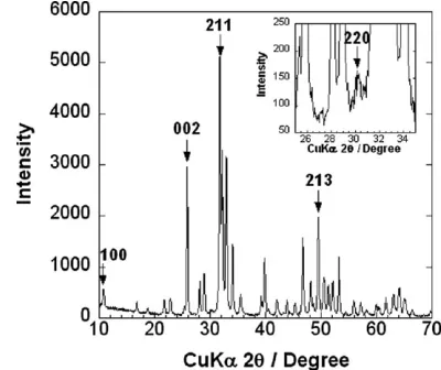 Fig. 1. XRD pattern of magnetite/HAp MNP composites treated witha hydrothermal treatment