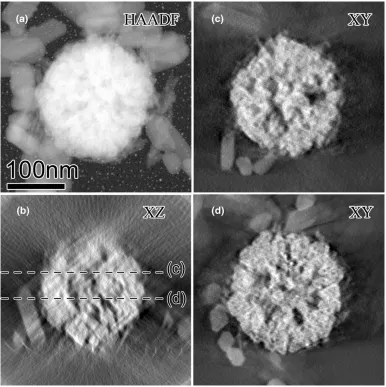 Fig. 4. HAADF-STEM images extracted from 3D reconstruction by TEM-CT of a Fe3O4 core and HAp coating