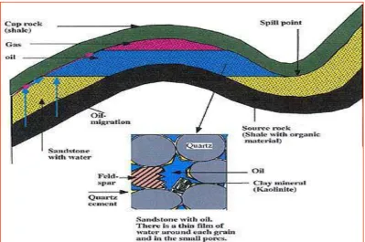 Gambar 2.4. Petroleum System (Chevron, 2006) 