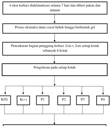 Gambar 8. Diagram alir penelitian