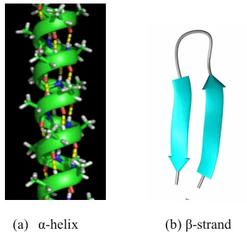 Figure: 1.Secondary structure organization in proteins 
