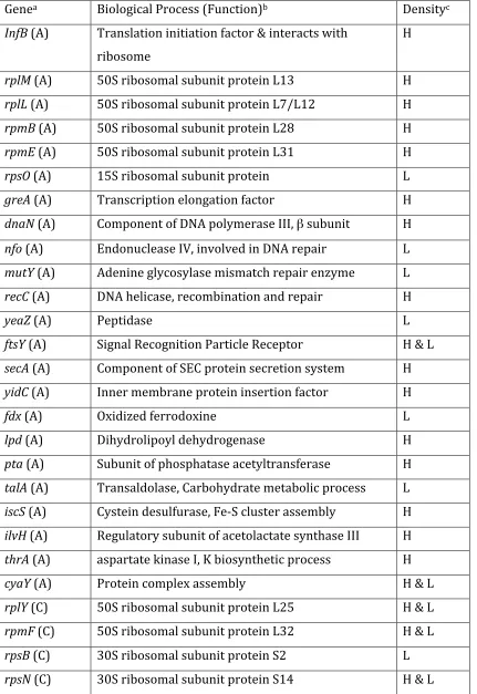 Table 3. Proteins evolutionarily accelerated (A) or constrained (C) identified 