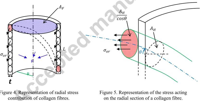 Figure 5. Representation of the stress acting  