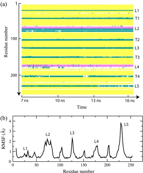 FIGURE 12The distribution of the electrostatic poten-tial in the loop region of the consensus model of OpcA