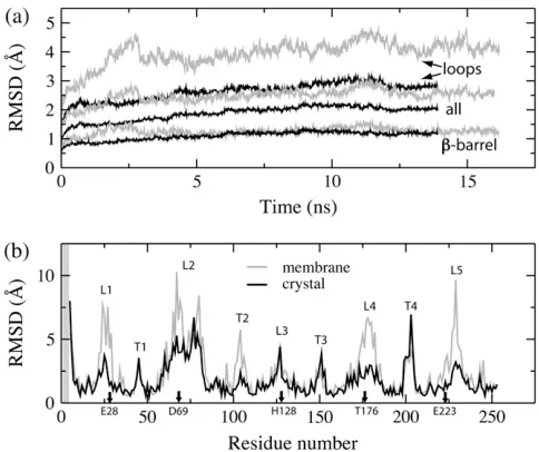 FIGURE 4RMSD of the in surfo structure simulated in a lipid bilayer(gray) and in a protein crystal (black)