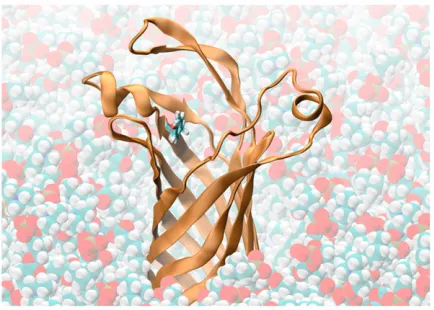 FIGURE 9The consensus model of OpcA derived from MD simulationsof the in meso and in surfo structures