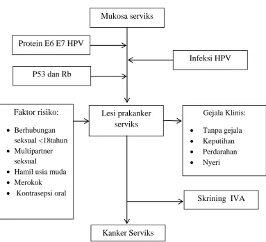 Gambar 2 Kerangka Teori(Rasjidi 2009) 