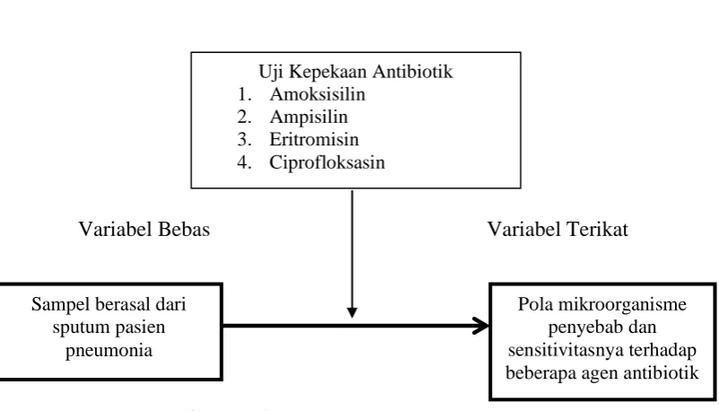Gambar 2. Kerangka Konsep