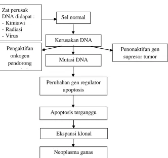 Gambar 4. Langkah-Langkah Karsinogenesis (Kumar et al., 2015). 