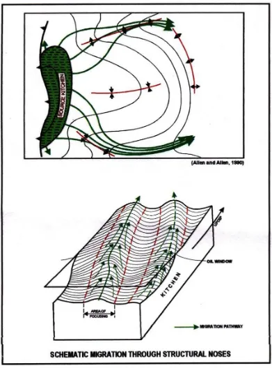 Gambar 7. Mekanisme migrasi Cekungan Salawati (Satyana, 1999). 