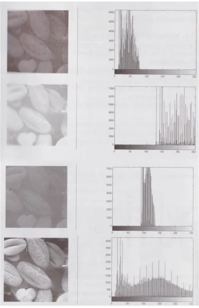 Gambar 2.3TipeDasarHistogram(Hermawati, 2013). 