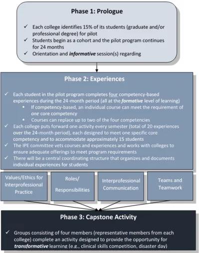 Figure 1. ETSU Interprofessional Education Pilot Program (IPEP) Structure 