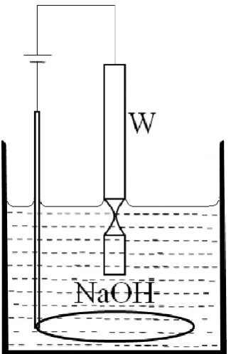 Fig. 2.10: Schematic representation of an electrochemical cell showing the etching of a tungsten wire in sodium hydroxide solution