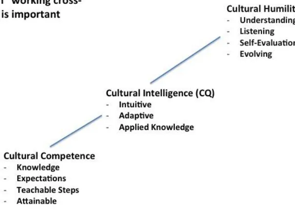 Figure 1.  Ways to approach working cross-culturally. 