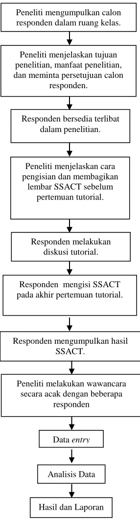 Gambar 6. Prosedur Penelitian 