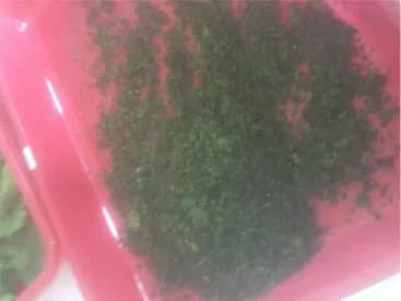 Gambar 2. Daun mengkudu yang telah diblender  