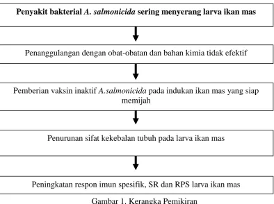 Gambar 1. Kerangka Pemikiran 