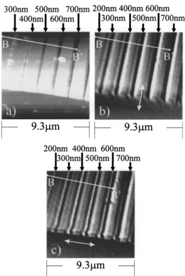 FIG. 4. Scans of the same area of the sample 2. �a� Shear-force topographyimage, �b� and �c� optical images taken with light polarized along the stripesand perpendicular to them, respectively