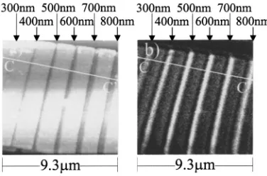 FIG. 7. Representative cross sections taken at the lines CC� marked in Fig.6. The thin line represents optical intensity signal for TE light polarization.The thick line represents topography of the structure as position reference.