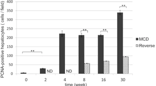 Figure 5. Quantification of PCNA-positive cells in the liver. The aver-age number of PCNA-positive cells was counted in group M (black columns) and group R (gray columns) liver sections