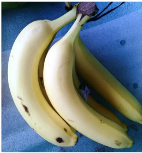 Gambar 1. Buah pisang