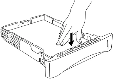 Fig. 1-11  Paper Lines