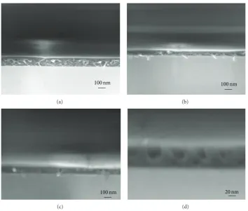 Figure 2: Cross-sectional SEM images of cylindrical structure of PS-b-PDMS after solvothermal annealing at 323 k for 3 h