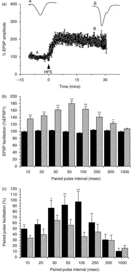 Fig. 4 (A) Effects of high-frequency stimulation (HFS) on the amplitude of fEPSPs; post-HFS fEPSP values are expressed as a percentage of the pre-HFS baseline