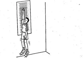 Gambar 4. Loncat Tegak (Vertical Jump)