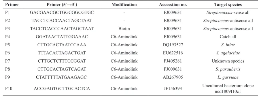 Table 1. Primers  used for  simultaneous detection of S. agalactiae, S. parauberis, S