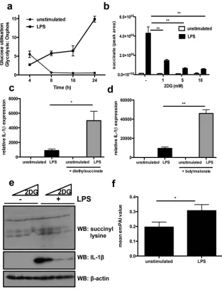 Fig. 3. Succinate is induced by LPS to drive HIF-1α(A) Glucose utilization over time, as a ratio of ECAR:OCR in LPS-treated BMDMs,analysed on the Seahorse XF-24