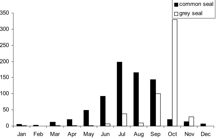Figure 2. Monthly variations in the sampling effort of common and grey seal countsin Irish waters by NPWS staff