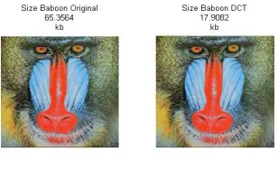 table. The DCT method show compression image 