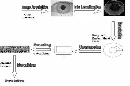 Fig .2. Process Flow Diagram 