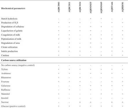 Table 1. Biochemical properties and carbon utilization of Streptomyces strains (+ Positive results, - Negative results, ± Doubtful results)  