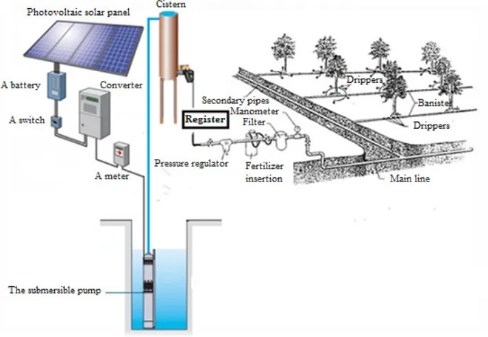 Fig. 2. Diagram of the drop-by-drop irrigation system 